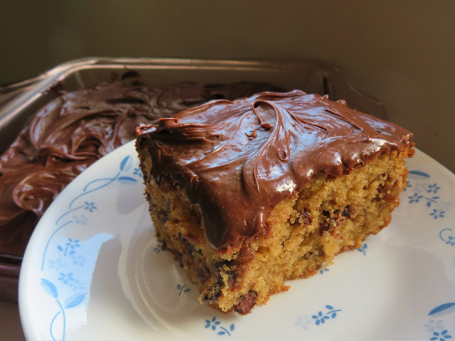 Chocolate Chip Snack Cake