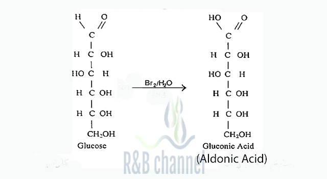 أكسدة الغلوكوز بماء البروم ال الالدونيك اسيد