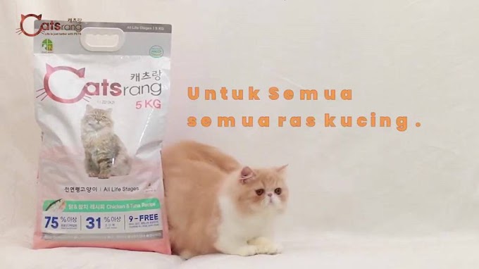 [ thaivucattery ] Thức Ăn Hạt Khô Catsrang dành Cho Mèo Mọi Lứa Tuổi 1 Kg