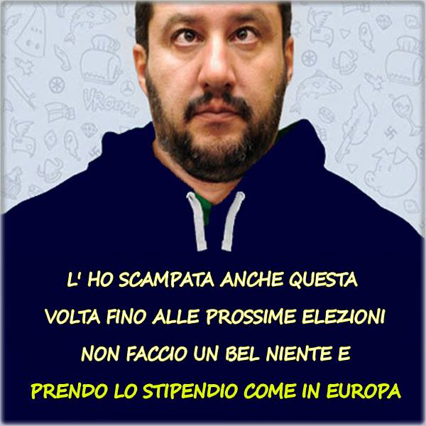 Salvini Fannullone