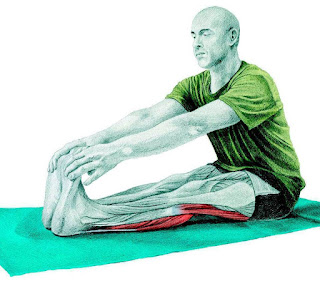 Galería de imágenes con diversos ejercicios para la mejora de la elasticidad muscular.