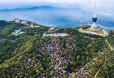 Wutongshan Mountain Spring