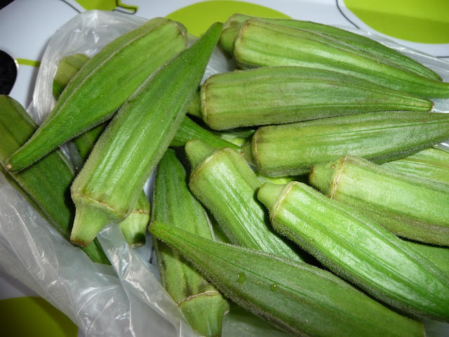 Okra o quimbombó