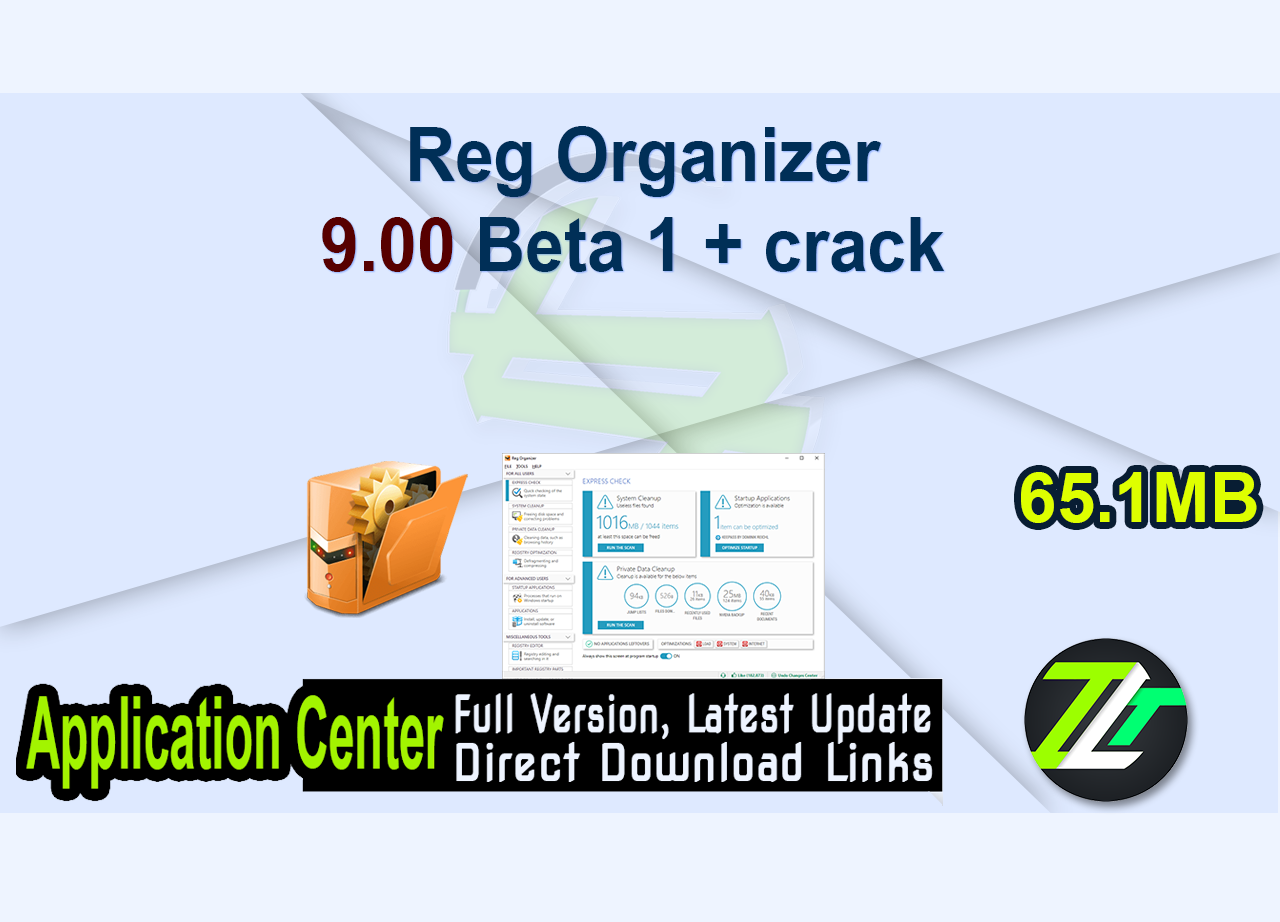 Reg Organizer 9.00 Beta 1 + crack 