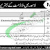 Nayatel Jobs 2023 Lahore Online Apply Latest Advertisement