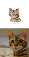 Artista gráfico transforma fotos de gatos en caricaturas divertidas