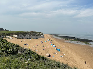 A photo showing a bay shaped beach (Botany Bay) with groups of people sunbathing on it.  Photo by Kevin Nosferatu for the Skulferatu Project.