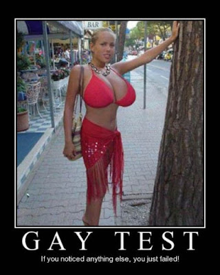 Gay Test