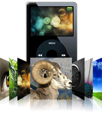 Stellar Phoenix iPod Recovery v2.1 for Mac
