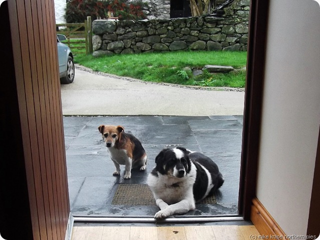 meg and jack
