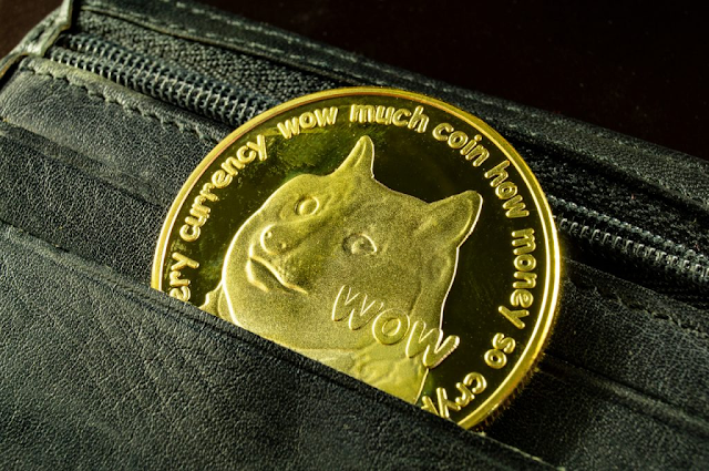 Criptomoeda meme dogecoin tem sido o novo “queridinho” de Elon Musk. Foto: mk1one/Shutterstock