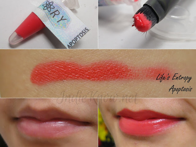 Life's Entropy Cosmetics Lip Theory Apoptosis