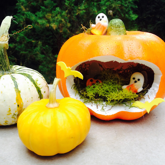 Pumpkin Fairy Garden for Halloween | Linzer Lane Blog