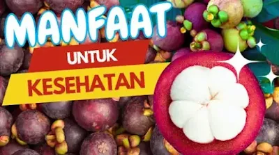 Buah Manggis