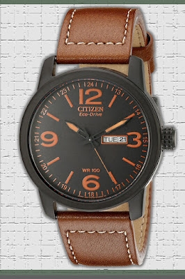 citizen wrist watch steel watch with leather strap