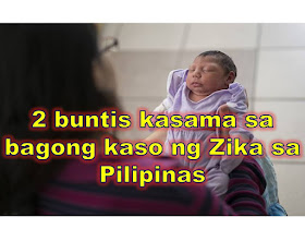 The latest reported victim of Zika virus in the Philippines is a 16-year old pregnant girl from Las Piñas City.    There are 33 cases of Zika according to Department of Health, which includes two pregnant women.    The first pregnant women who contacted Zika is from Cebu and she is due to give birth on January. She has already undergone two ultrasound and so far, no abnormalities were seen in her pregnancy.   “She’s okay, she’s still being monitored. She has undergone two ultrasound and so far, still normal. She’s expected to give birth in January,” DOH Secretary Paulyn Ubial said.  The 16-year old pregnant girl from Las Pinas who contacted Zika is on her 32nd week. Some of the symptoms she suffered are rashes and fever. No ultrasound test has been done yet to know of the safety of her baby.   “@Dok_Pau confirms second pregnant #Zika; 16 year old from Las Pinas City; had skin rash & fever at 32nd week of her pregnancy; No ultrasound,” DOH spokesperson Dr. Eric Tayag said in his Twitter account. “Total number of #zika in #ph is 33 including 2 pregnant cases (Cebu & Las Pinas),” he added. The latest reported victim of Zika virus in the Philippines is a 16-year old pregnant girl from Las Piñas City. There are 33 cases of Zika according to Department of Health, which includes two pregnant women.   The first pregnant women who contacted Zika is from Cebu and she is due to give birth on January. She has already undergone two ultrasound and so far, no abnormalities were seen in her pregnancy.   “She’s okay, she’s still being monitored. She has undergone two ultrasound and so far, still normal. She’s expected to give birth in January,” DOH Secretary Paulyn Ubial said.  The 16-year old pregnant girl from Las Pinas who contacted Zika is on her 32nd week. Some of the symptoms she suffered are rashes and fever. No ultrasound test has been done yet to know of the safety of her baby.   “@Dok_Pau confirms second pregnant #Zika; 16 year old from Las Pinas City; had skin rash & fever at 32nd week of her pregnancy; No ultrasound,” DOH spokesperson Dr. Eric Tayag said in his Twitter account. “Total number of #zika in #ph is 33 including 2 pregnant cases (Cebu & Las Pinas),” he added.    What Do You Need To Know About Zika?  There are total of 33 cases of Zika in Philippines, of these: 12- are from Ilo-ilo;  4- from Bacoor Cavite;  3-  from Mandaluyong;   3- from Calamba, Laguna  includes a 7-year-old girl and a 13-year-old boy from Calamba, Laguna 2-  from Antipolo;  2- Las Pinas;  2-  Muntinlupa;  1- Cebu;  1- Quezon City;  1-  Makati; a 27-year-old woman from Makati City 1- Caloocan; a 31-year-old man from Caloocan 1- Manila a 25-year-old woman from Sta. Cruz, Manila What is Zika? Zika virus is mostly transmitted through mosquito bites particularly of Aedes Eagypti, the same mosquito that carries dengue.   This virus has already been declared as global health emergency by World Health Organization (WHO) because of its link to microcephaly.   Microcephaly is a condition where a baby is born with unusually small head and underdeveloped brain.   Aside from mosquito bites, the virus can also be transmitted sexually. DOH reminds couples to practise safe sex even for pregnant women to avoid infection.       What are the symptoms of Zika?  Deaths are rare and only one-in-five people infected is thought to develop symptoms.  These includes:  mild fever  conjunctivitis (red, sore eyes)  headache  joint pain   rashes  The DOH has also set up 24/7 Zika virus hotlines. These are (02) 711-1001 and (02) 711-1002.      What Do You Need To Know About Zika?  There are total of 33 cases of Zika in Philippines, of these: 12- are from Ilo-ilo;  4- from Bacoor Cavite;  3-  from Mandaluyong;   3- from Calamba, Laguna  (includes a 7-year-old girl and a 13-year-old boy from Calamba, Laguna) 2-  from Antipolo;  2- Las Pinas;  2-  Muntinlupa;  1- Cebu;  1- Quezon City;  1-  Makati; (a 27-year-old woman)  1- Caloocan; (a 31-year-old man)  1- Manila (a 25-year-old woman from Sta. Cruz, Manila)   What is Zika? Zika virus is mostly transmitted through mosquito bites particularly of Aedes Eagypti, the same mosquito that carries dengue.   This virus has already been declared as global health emergency by World Health Organization (WHO) because of its link to microcephaly.   Microcephaly is a condition where a baby is born with unusually small head and underdeveloped brain.   Aside from mosquito bites, the virus can also be transmitted sexually. DOH reminds couples to practise safe sex even for pregnant women to avoid infection.       What are the symptoms of Zika?  Deaths are rare and only one-in-five people infected is thought to develop symptoms.  These includes:  mild fever  conjunctivitis (red, sore eyes)  headache  joint pain   rashes  The DOH has also set up 24/7 Zika virus hotlines. These are (02) 711-1001 and (02) 711-1002.   ©2016 THOUGHTSKOTO