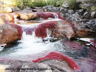 Most Beautiful River In Columbia 