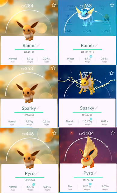 Cara Mudah Evolve Eevee Menjadi Pokemon Vaporeon - Jolteon - Flareon