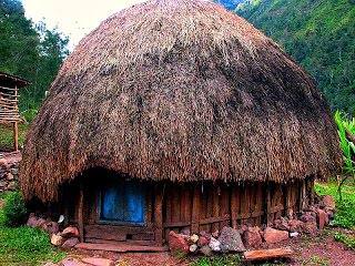 Rumah Adat Papua  Rumah Honai