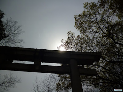 鳥居と太陽