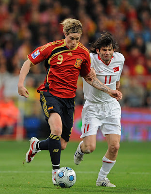 Fernando Torres World Cup 2010 Football Picture