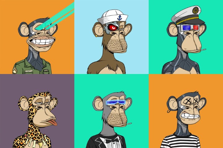 nft ape monkeys