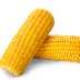 Mısır png indir , corn png image  