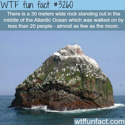 Interesting WTF Fun Facts That You Probably Didn't Know