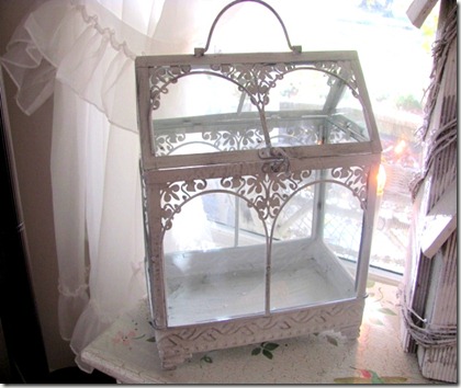 terrarium