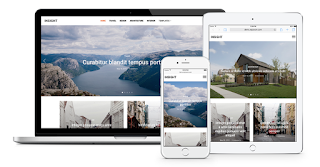 Insight Magazine / WooCommerce WordPress Theme - WPZOOM Free Download