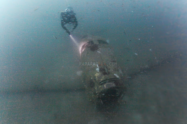 Jun V Lao, Scuba Diving, Underwater Photography