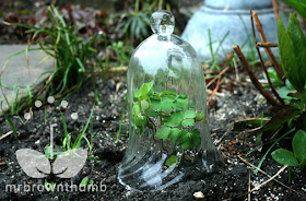 bell shaped garden cloche