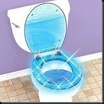 cordless lighted toilet seat TG