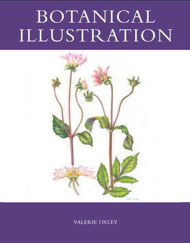 Botanical Illustration The Complete Guide