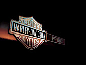 harley davidson logo 11