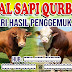 Banner Penjualan Sapi Qurban