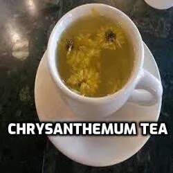 benefits of chrysanthemum tea. Chrysanthemum tea in a white Cup