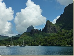 P1000551