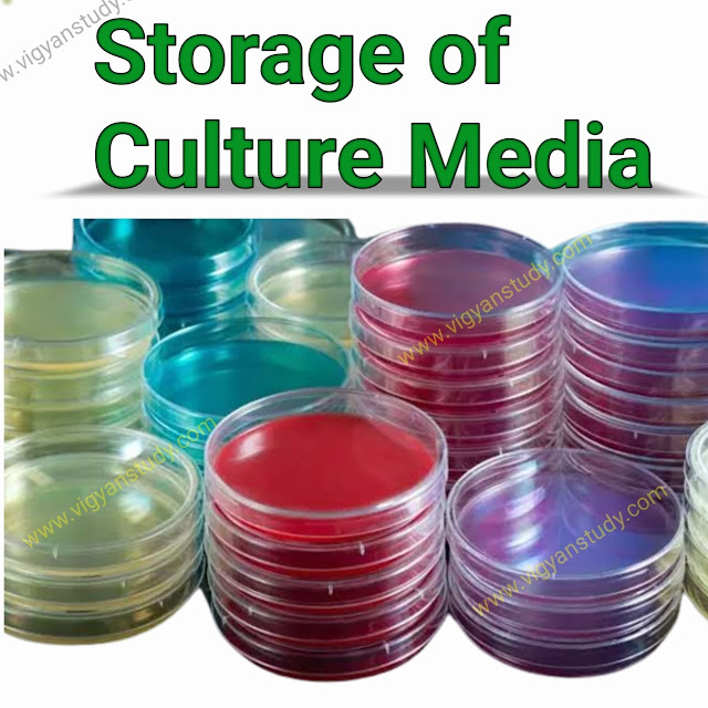 Storage of culture Media