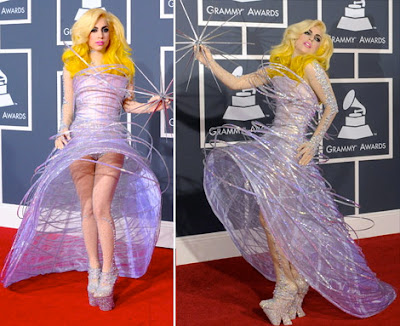 Lady Gaga Dress 3