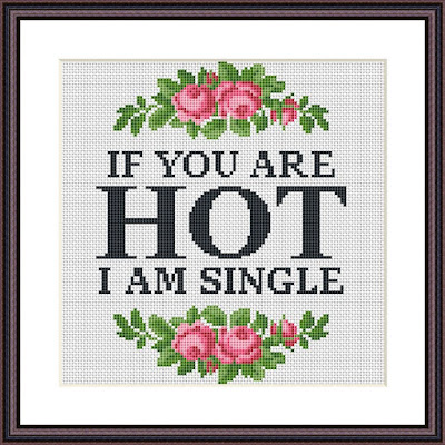 Funny sassy cross stitch pattern If you are hot I am single - Tango Stitch