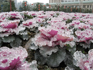 glass of flower garden