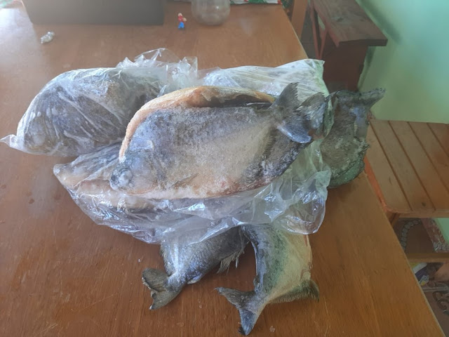 Homem é autuado após ser flagrado com estoque de pescado sem declaração