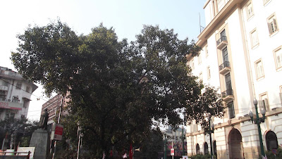 Central Avenue, Kolkata