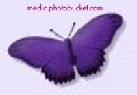 lupus butterfly