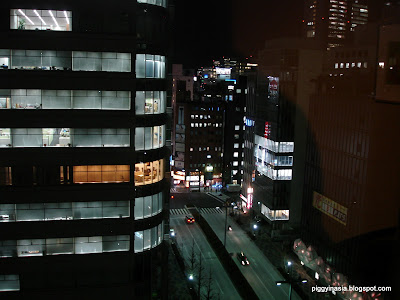 shinjuku tokyo - view from keio plaza hotel