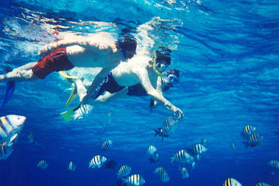 Tips Snorkeling