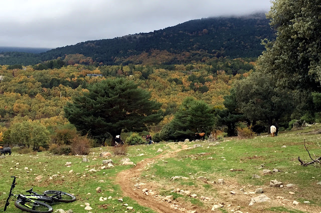 MTB en Cercedilla - AlfonsoyAmigos