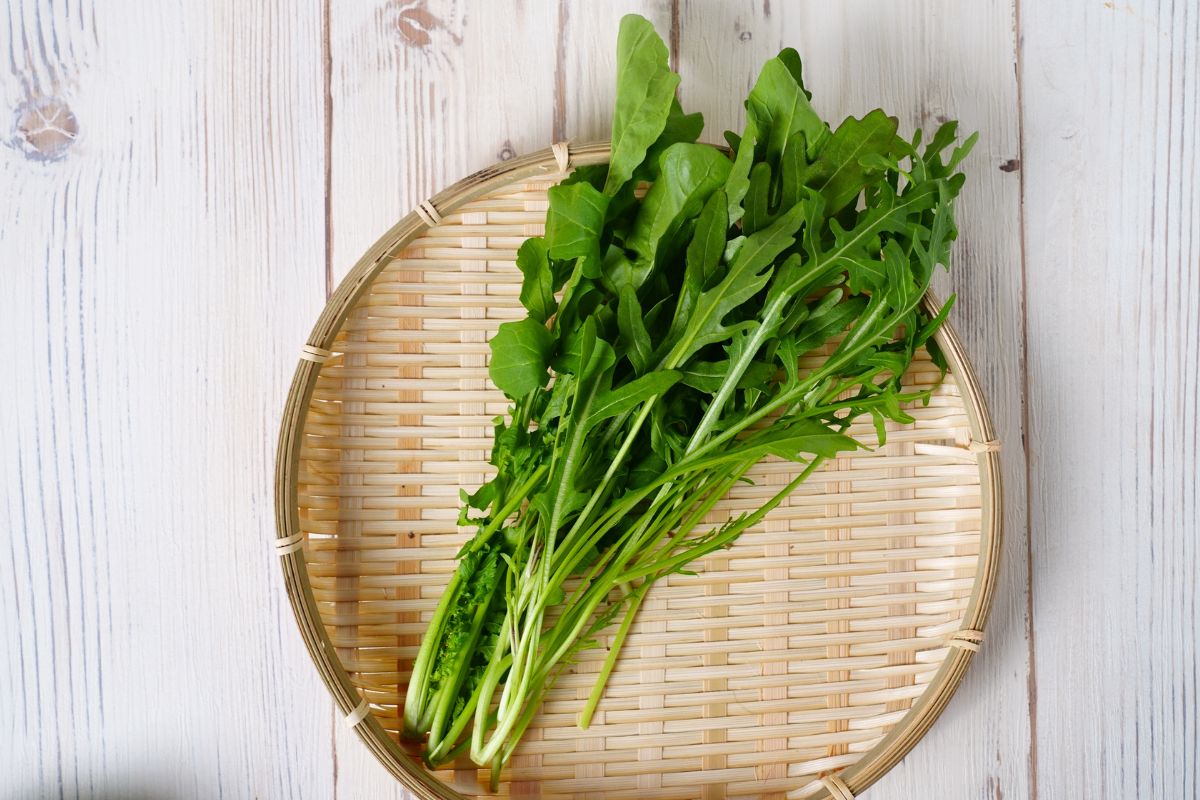 イタリア野菜のセルバチカ