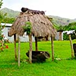 View album